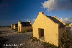Red Slave Huts-Bonaire by Richard Goluch 